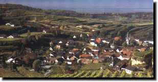 Bickensohl