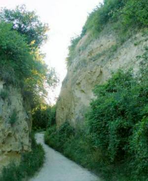 Hohlgasse